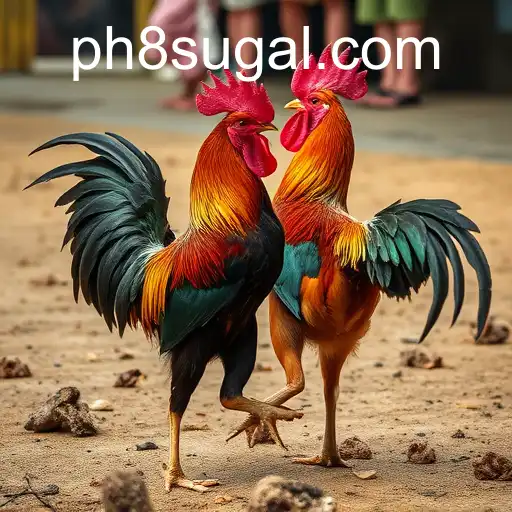 The Cultural Impact of Cockfighting: A Closer Look